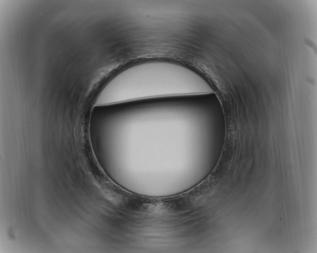 X0000096710688200802051038