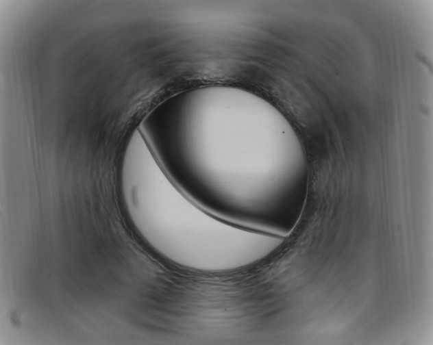 X0000096710689200802051038