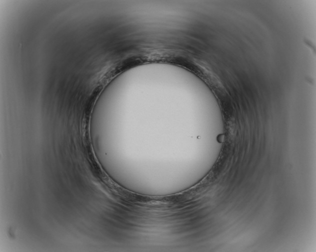 X0000096710691200802051038