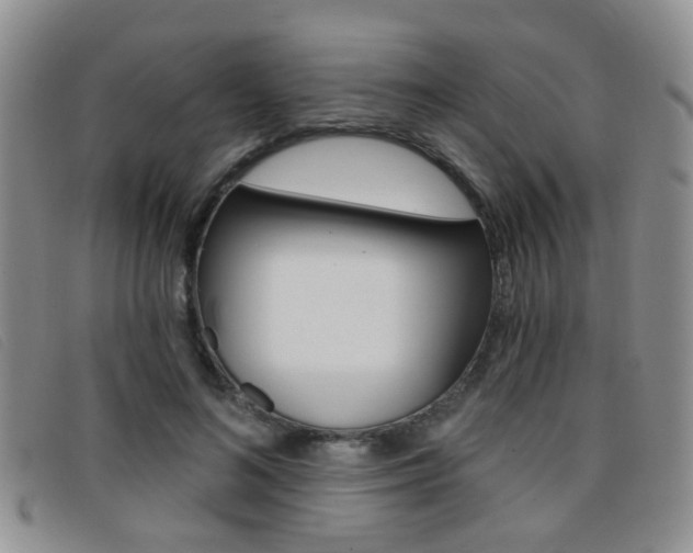 X0000096710692200802051038