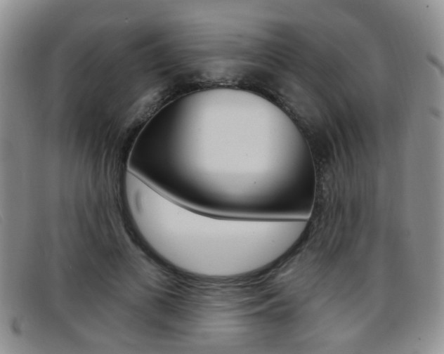 X0000096710693200802051038