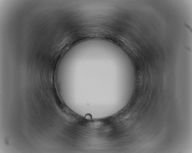 X0000096710695200802051038