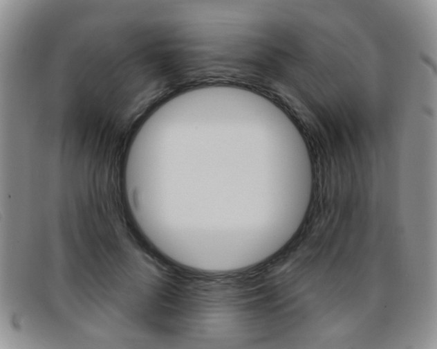 X0000096710696200802051038