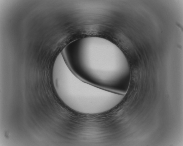 X0000096710697200802051038