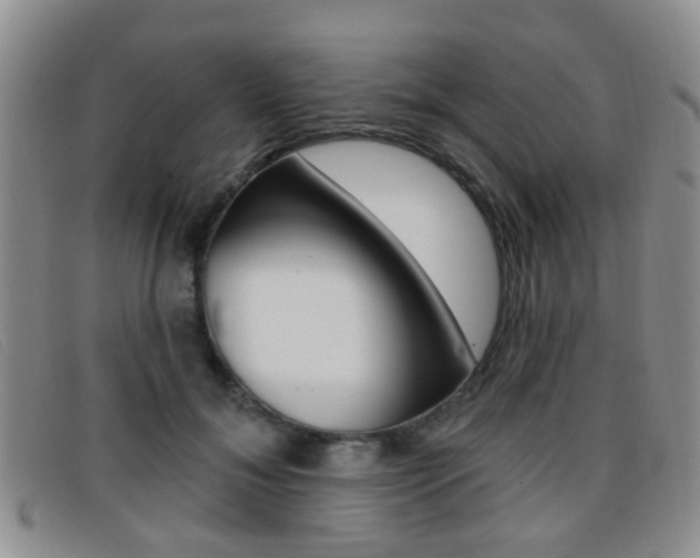X0000096710700200802051038