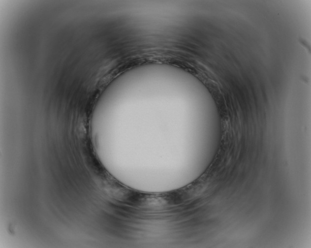 X0000096710702200802051038