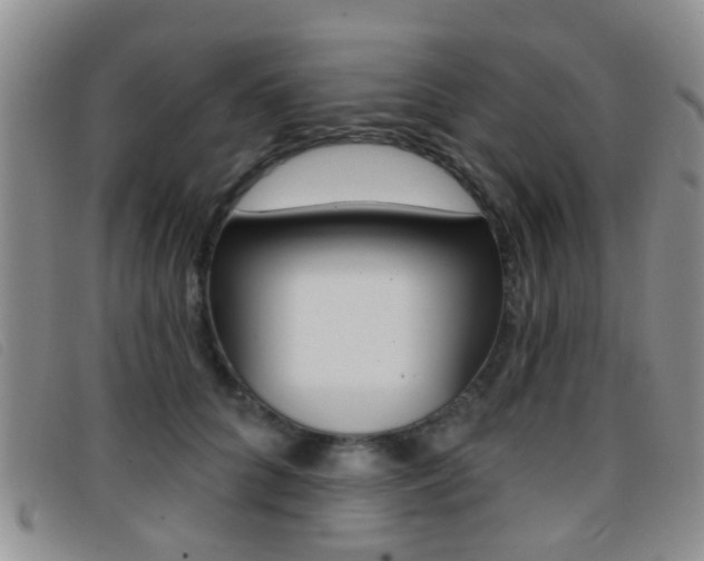 X0000096710704200802051038