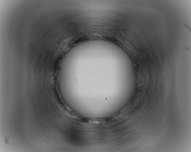 X0000096710706200802051038