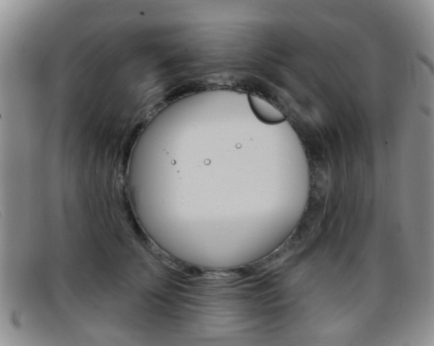 X0000096710707200802051038