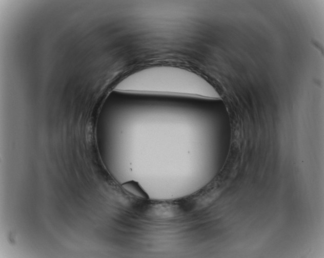 X0000096710708200802051037