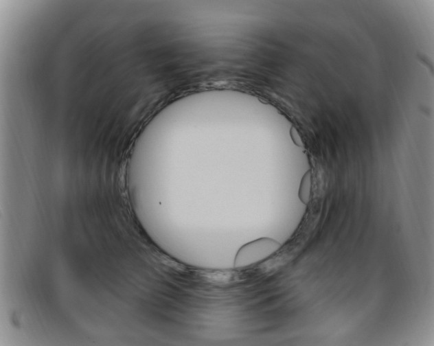 X0000096710709200802051037