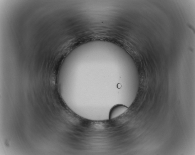 X0000096710710200802051037