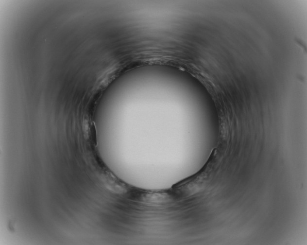 X0000096710716200802051037
