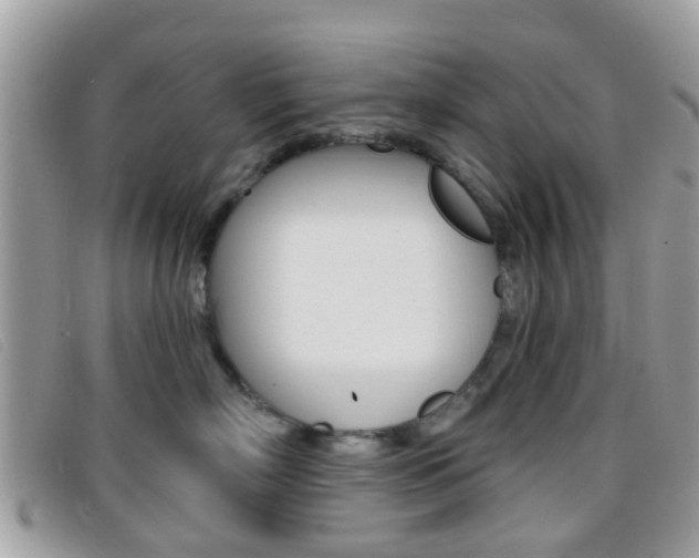 X0000096710718200802051037