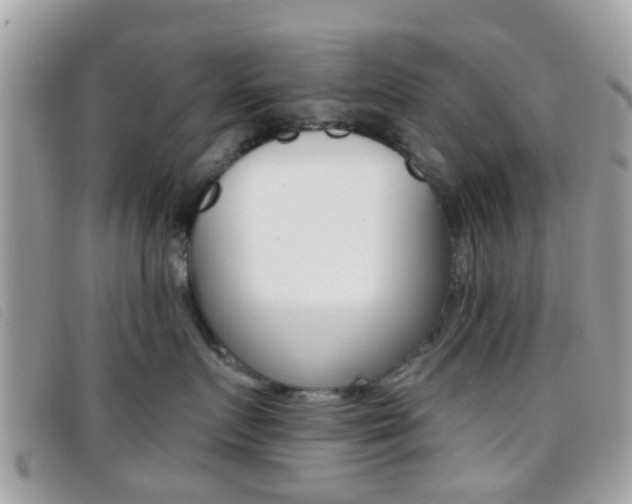 X0000096710719200802051037