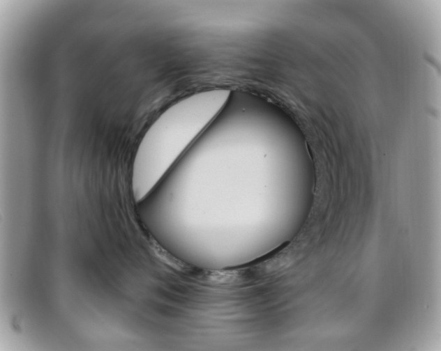 X0000096710720200802051037