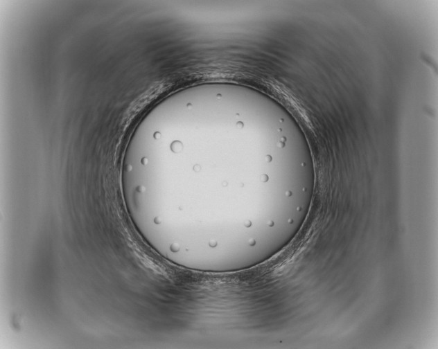 X0000096710721200802051037