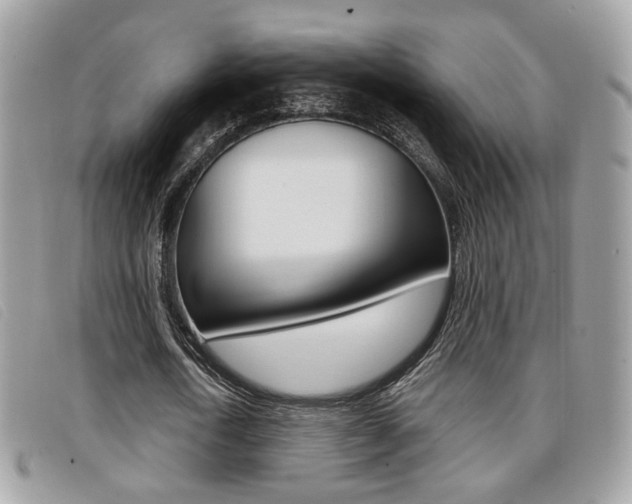 X0000096710722200802051037
