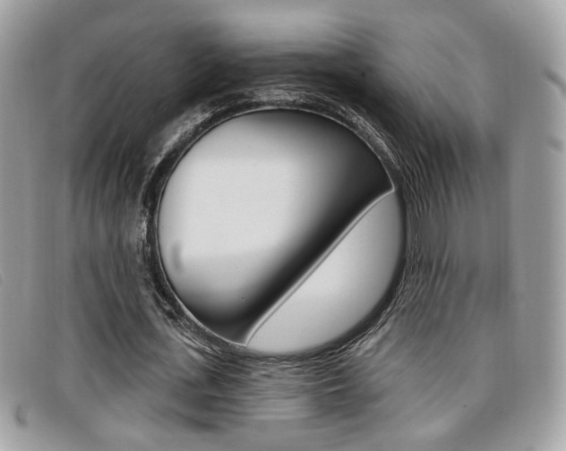 X0000096710723200802051037