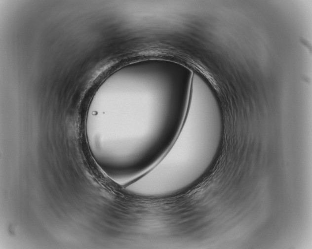 X0000096710724200802051037