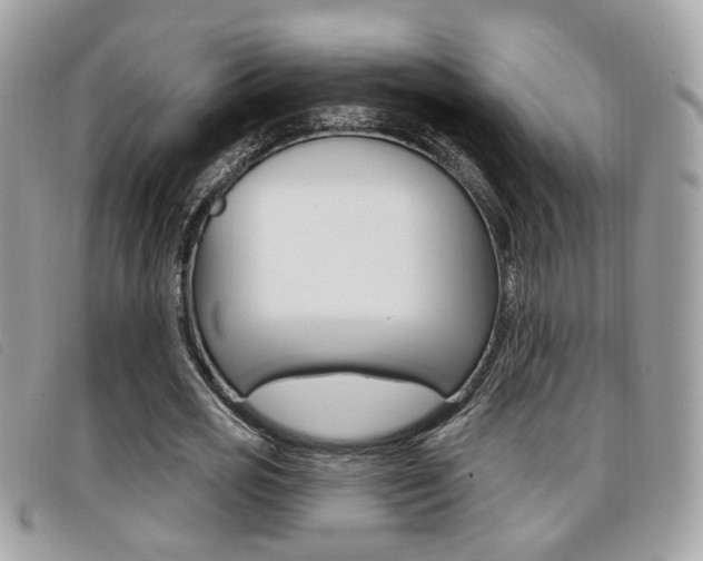 X0000096710725200802051037
