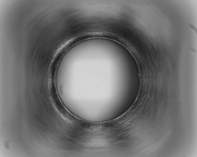 X0000096710728200802051037