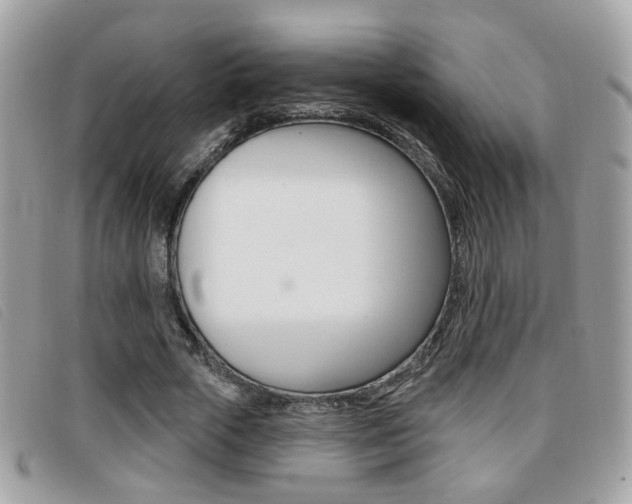X0000096710729200802051037