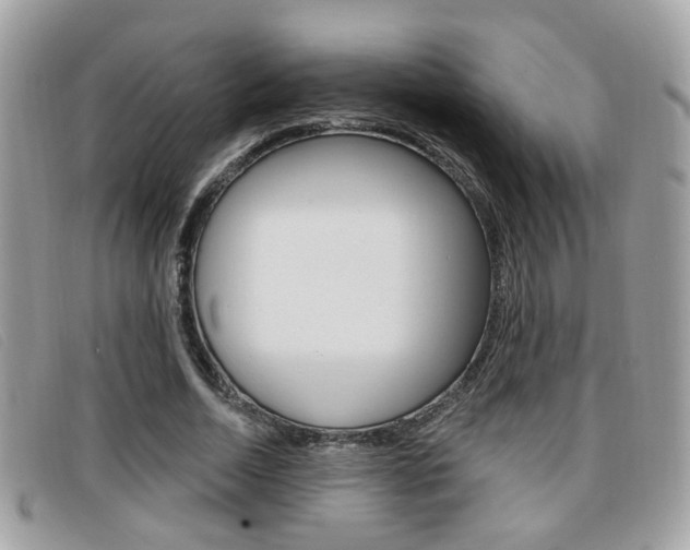 X0000096710730200802051037