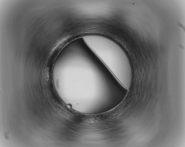 X0000096710731200802051037
