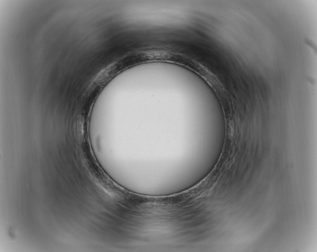 X0000096710733200802051037