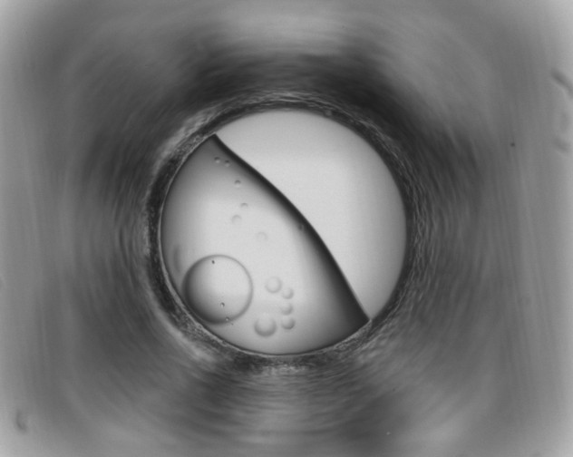 X0000096710734200802051037