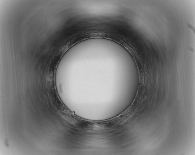 X0000096710737200802051037