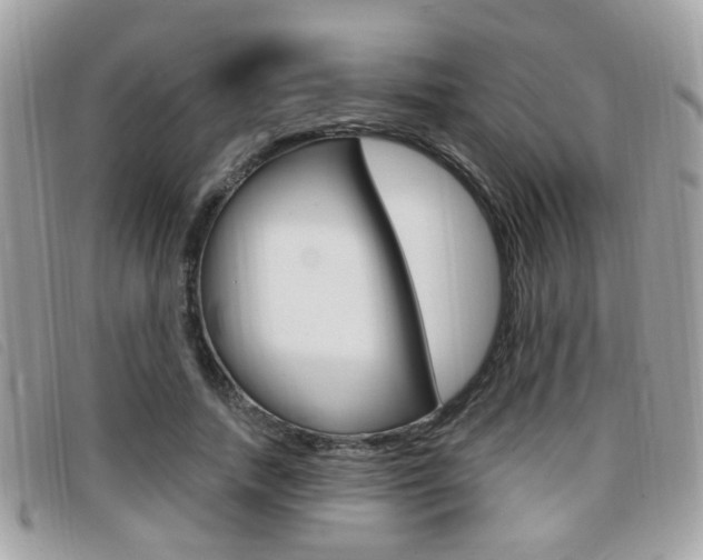 X0000096710738200802051037