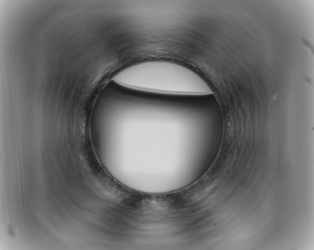 X0000096710739200802051037