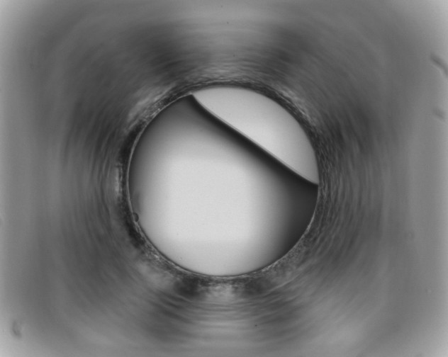 X0000096710740200802051037