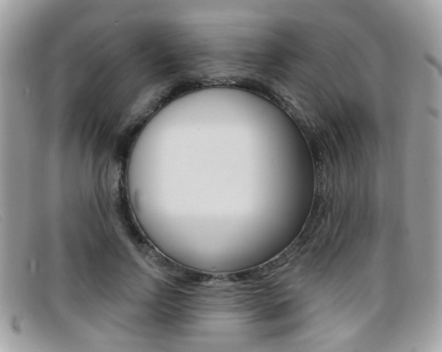 X0000096710742200802051037