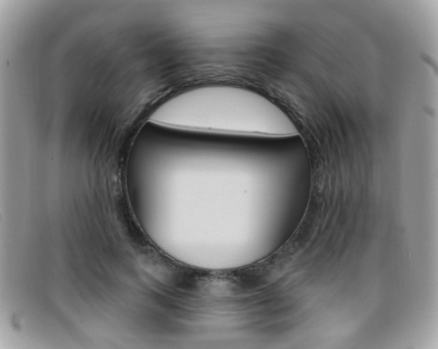 X0000096710743200802051037