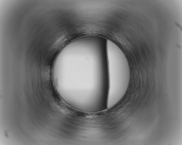 X0000096710744200802051037