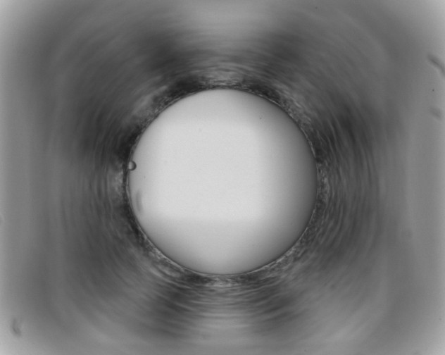 X0000096710745200802051037