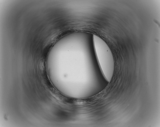 X0000096710746200802051037