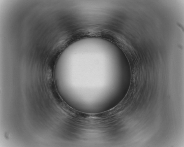 X0000096710748200802051037
