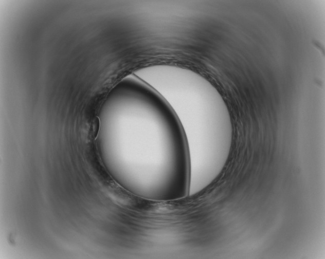 X0000096710750200802051037