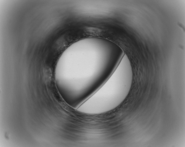 X0000096710752200802051037