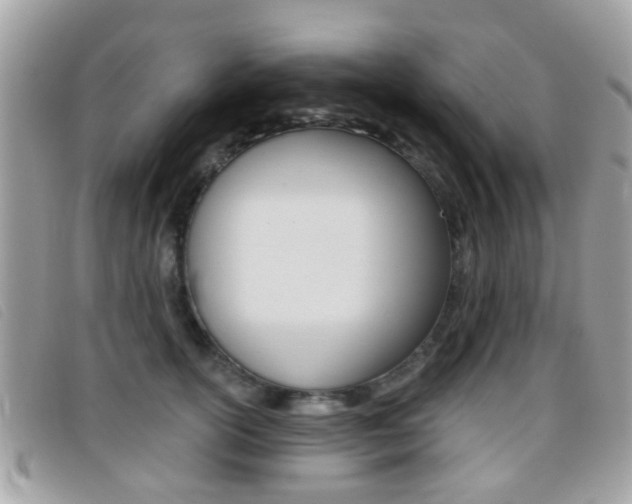 X0000096710754200802051037