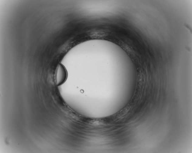 X0000096710755200802051037