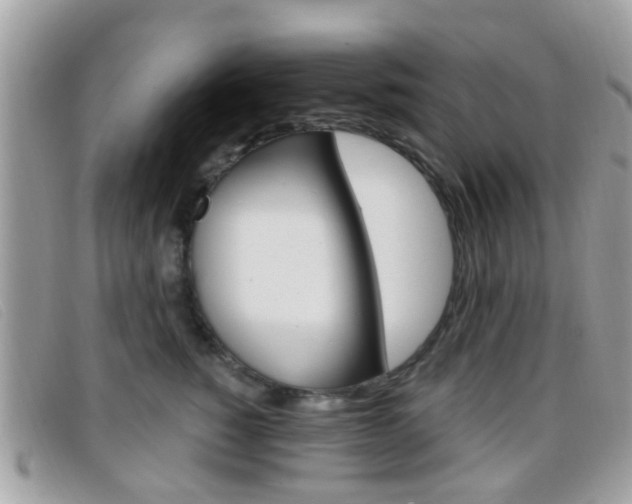 X0000096710760200802051037