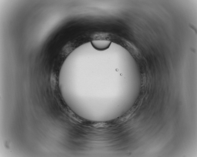 X0000096710761200802051037
