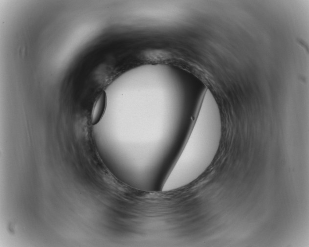 X0000096710762200802051037