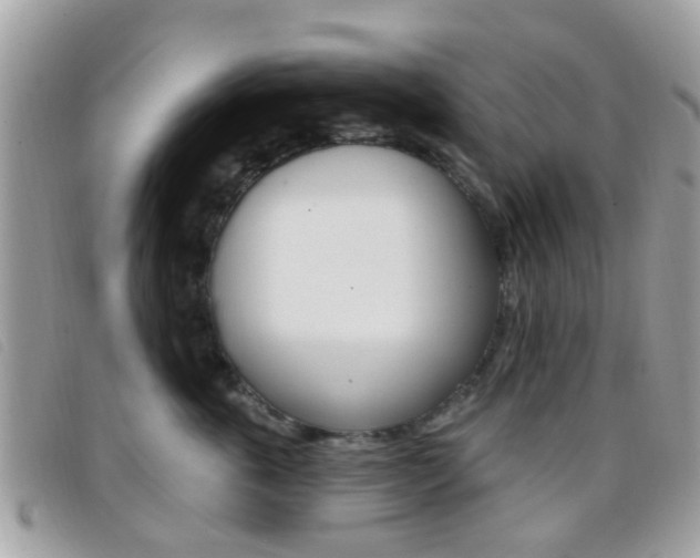 X0000096710763200802051037