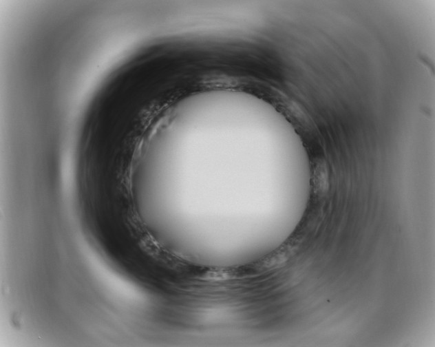 X0000096710764200802051037
